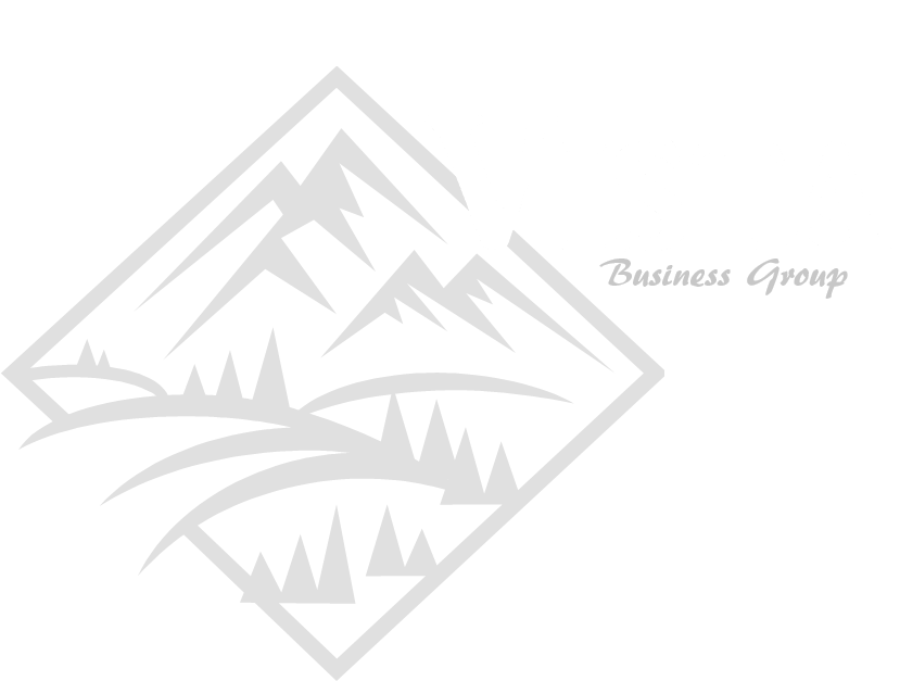 vista business group logo