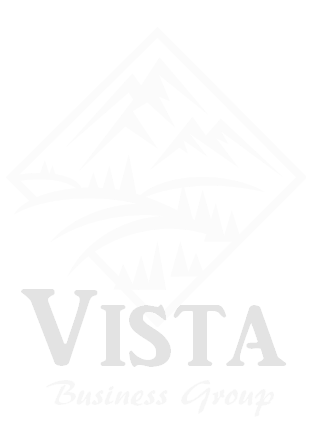 Vista Business Group